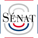 Logo Snat